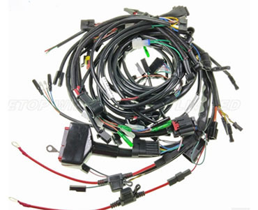 ECU Wiring Harness